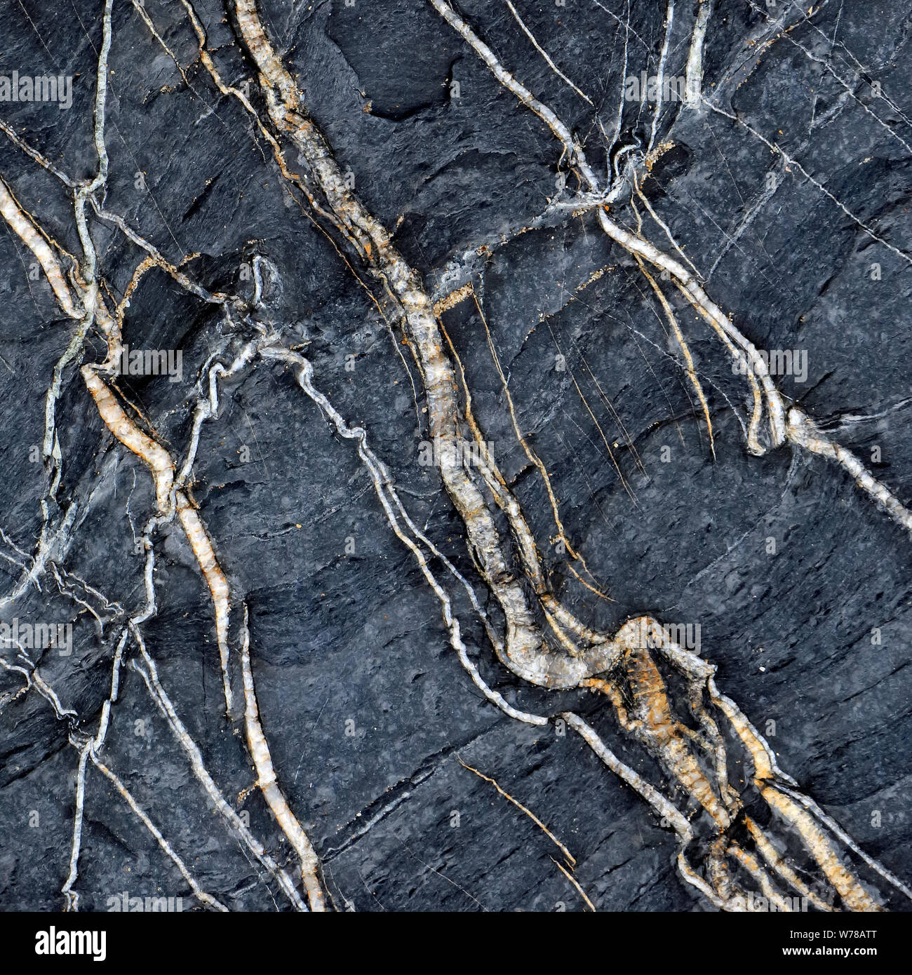 Nature photograph of marine geology, showing random pattern, texture, shape, with a subtle colour pallette in a semi abstract style on Cardigan Bay Wa Stock Photo