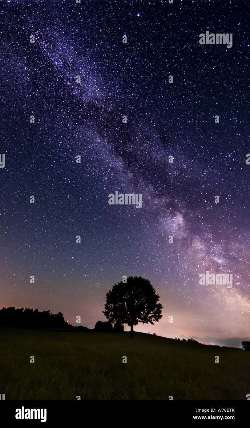 Milky Way with lonely tree on the hill. Landscape with night starry sky ...