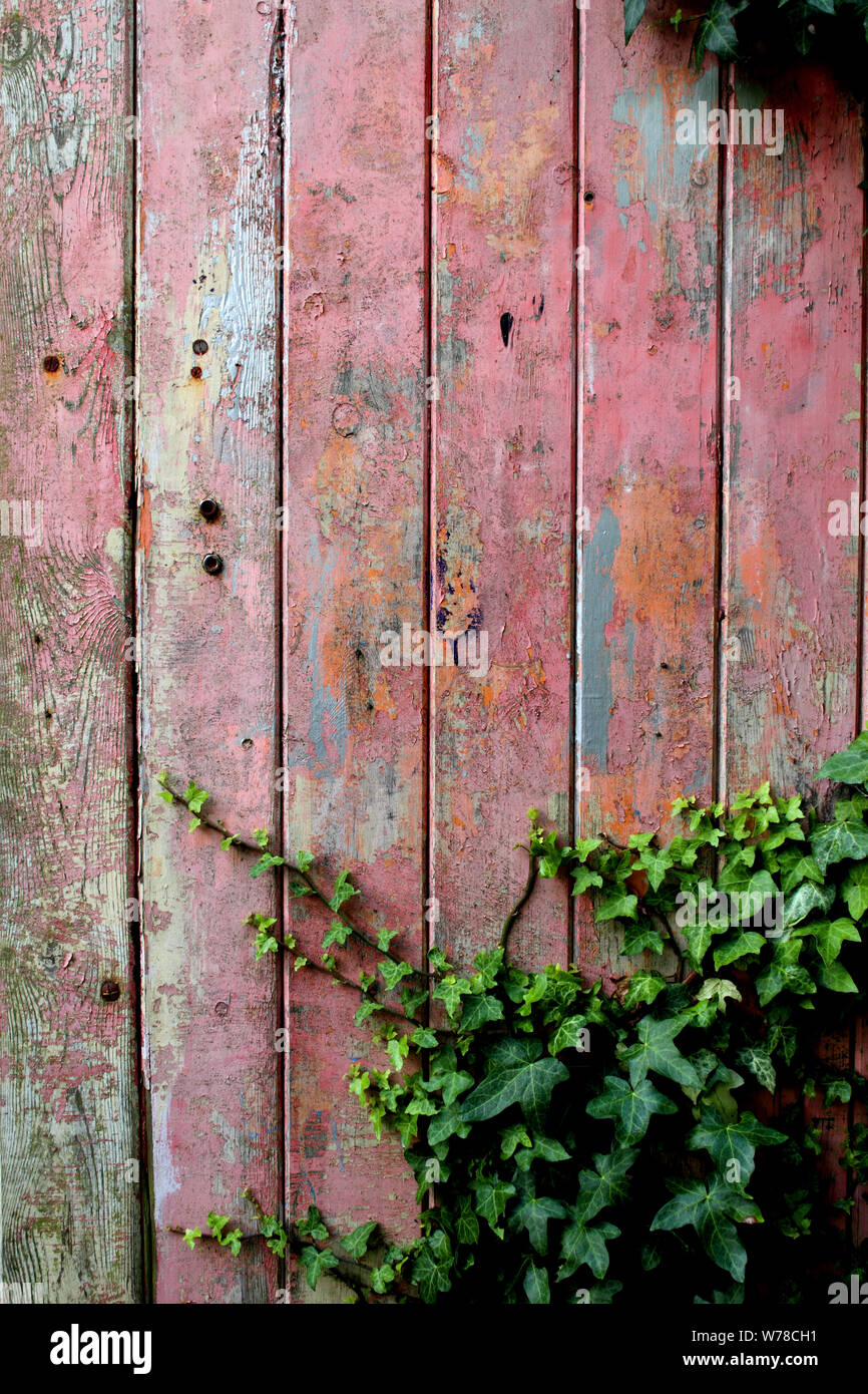 Old Wooden Garage Door With Distressed Weather Beaten Red Or Pink