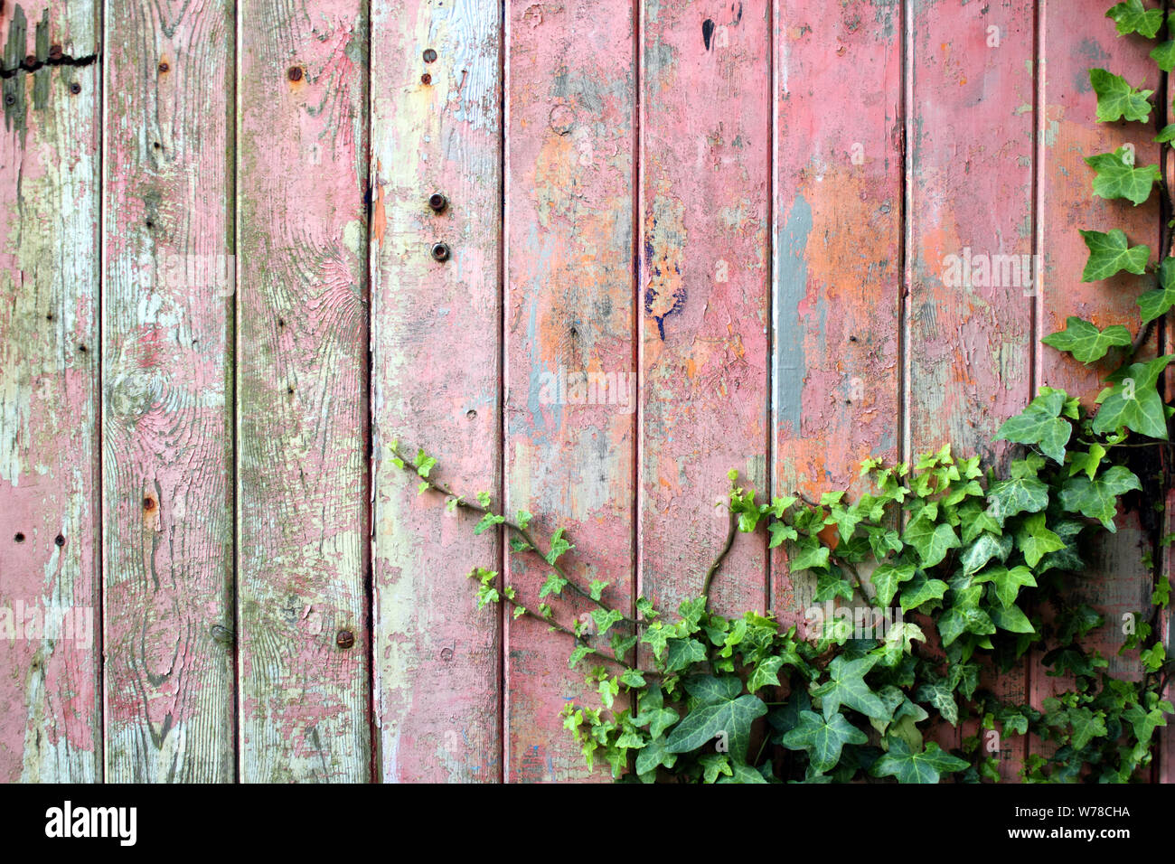 Old Wooden Garage Door With Distressed Weather Beaten Red Or Pink