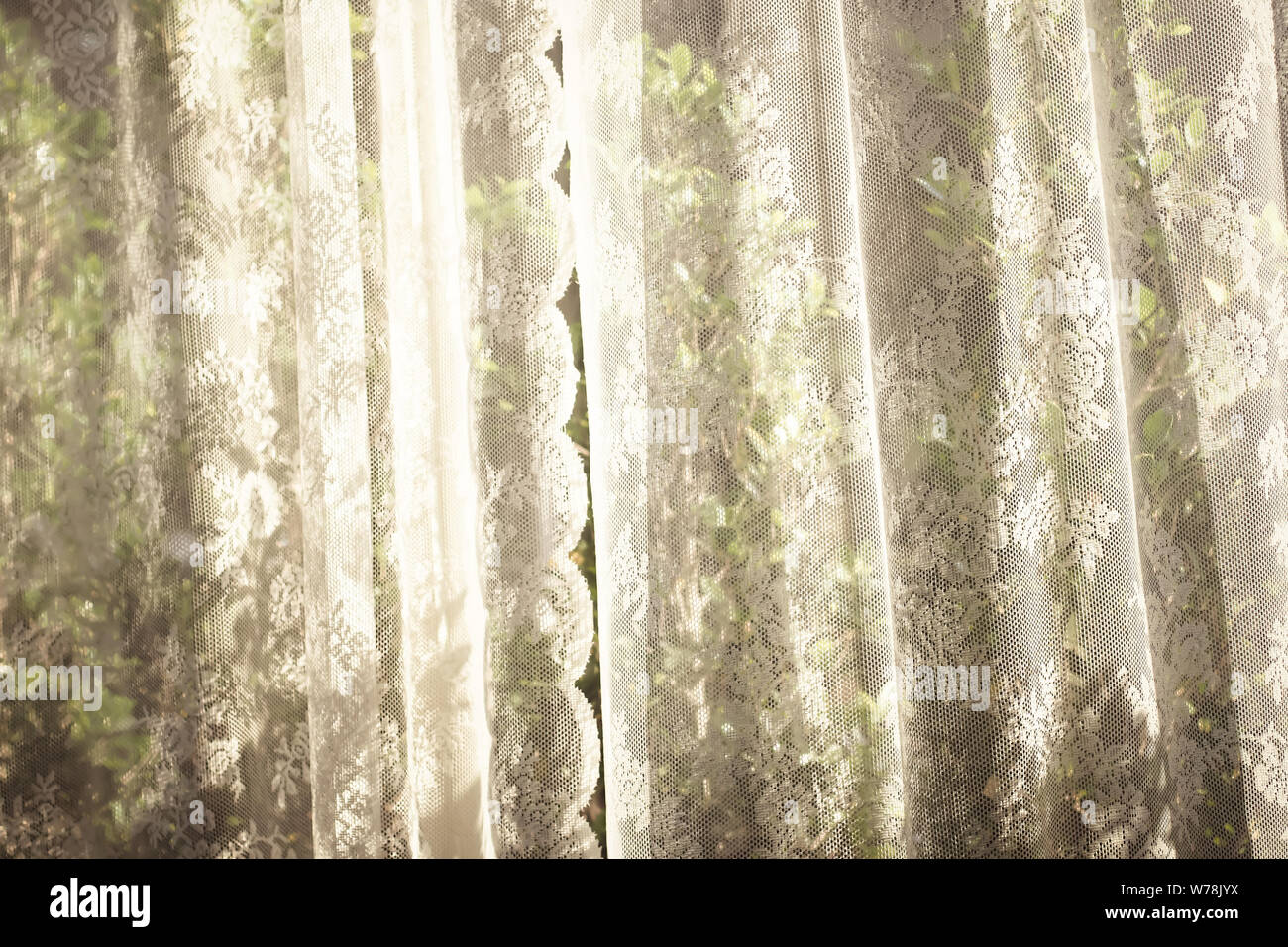 white curtain with window view tree garden background. Stock Photo