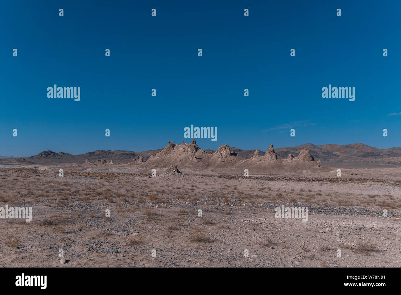 Sparse vegetation in vast desert with jagged hills and rock formations under bright blue sky. Stock Photo