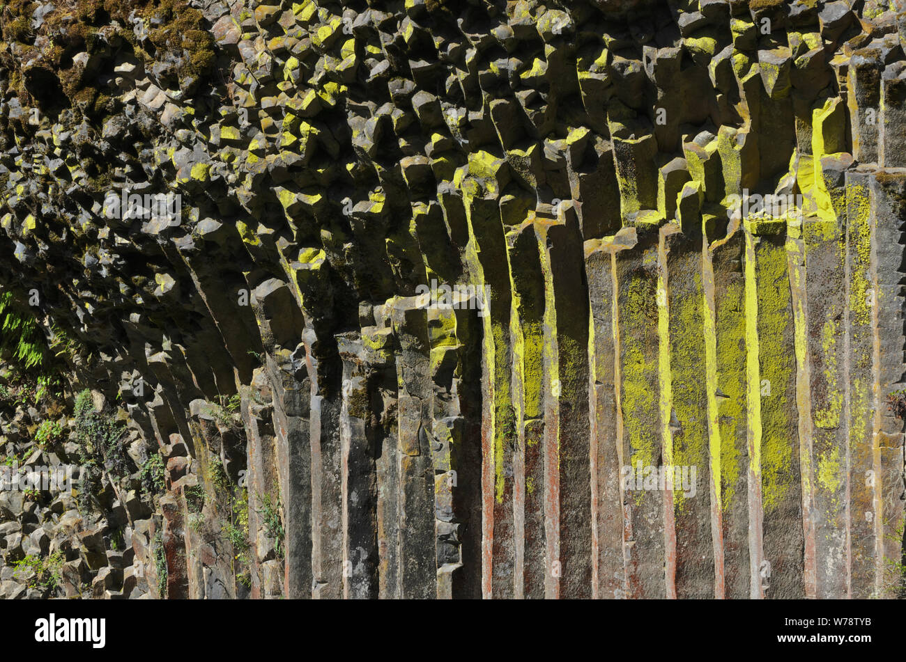 OR: Douglas County, Cascades Range, Soda Springs Basalt Columns. The North Umpqua River runs underneath a cliff of basalt columns Stock Photo