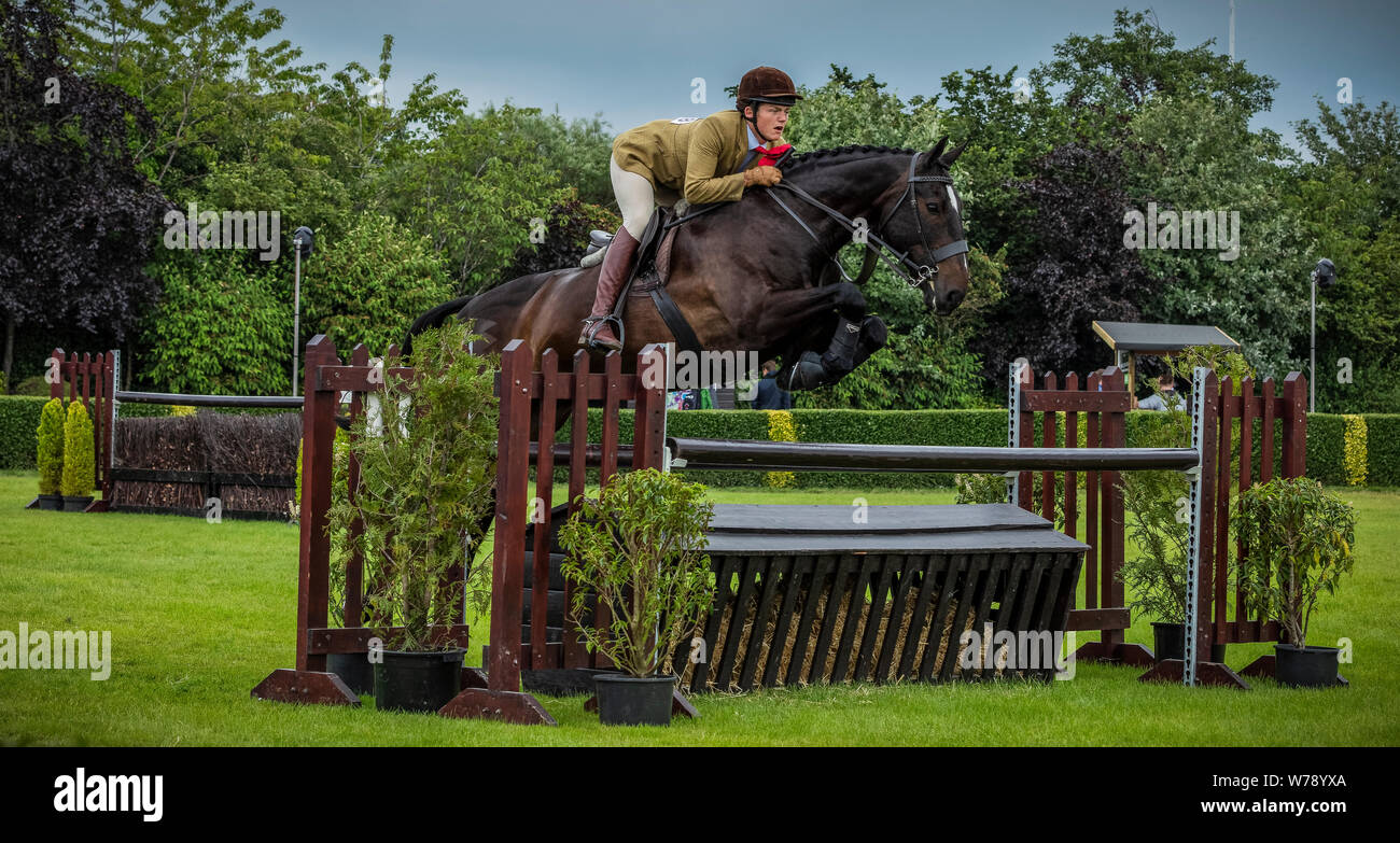 Horse jumping a fence at the Great Yorkshire Show Stock Photo - Alamy