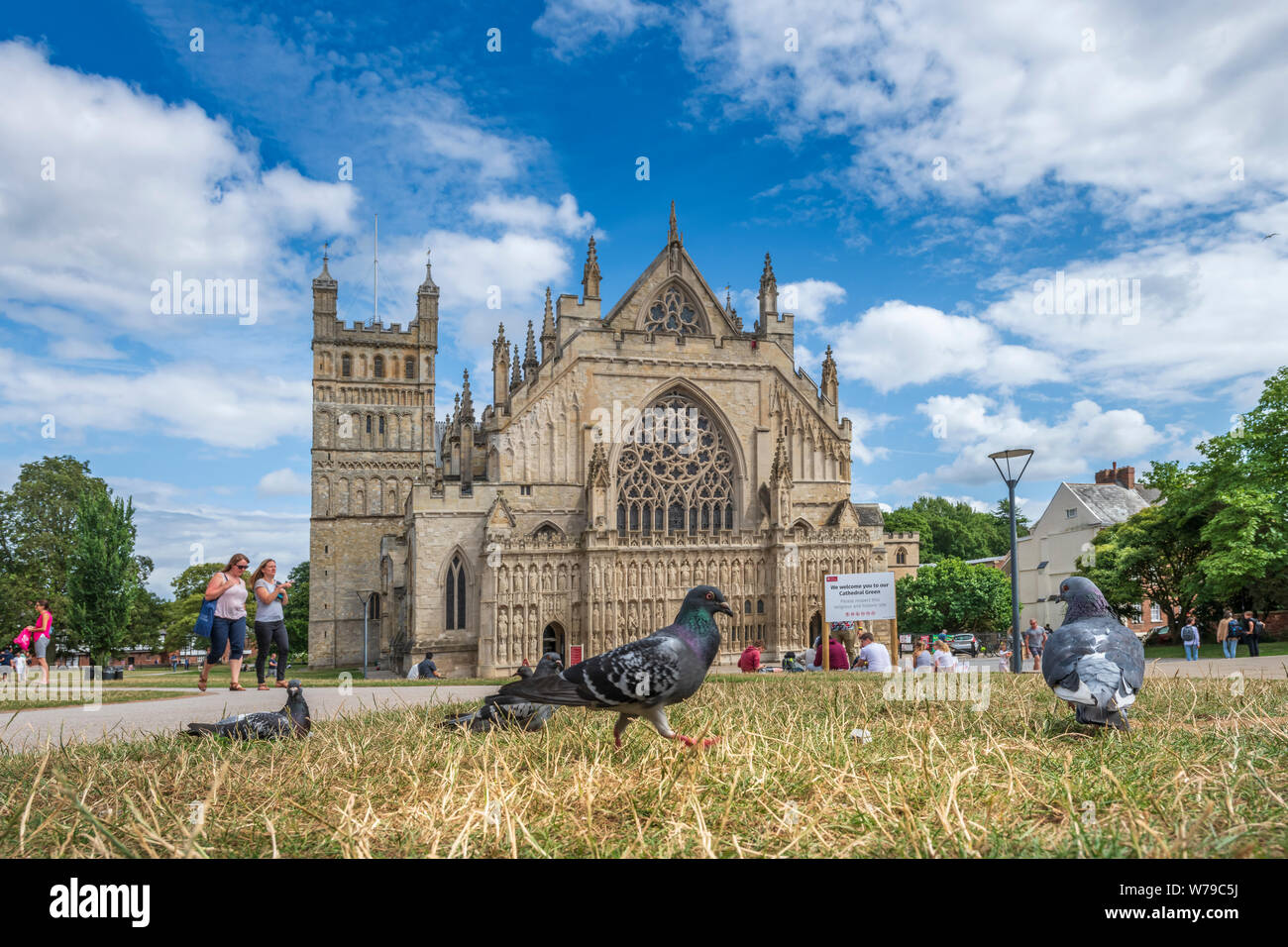 Exeter, Devon, South West England. Monday 5th August 2019. UK Weather.  People, and pigeons, enjoy the relaxed atmosphere on Cathedral Green in the centre of Exeter, on a warm day with intermittent sunshine. Credit: Terry Mathews/Alamy Live News Stock Photo