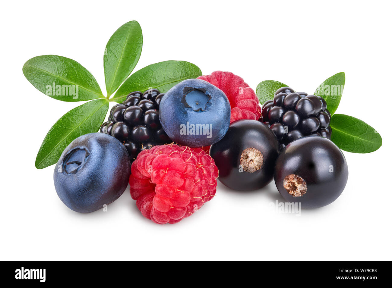 mix of blackberry blueberry raspberry black currant with leaf isolated ...