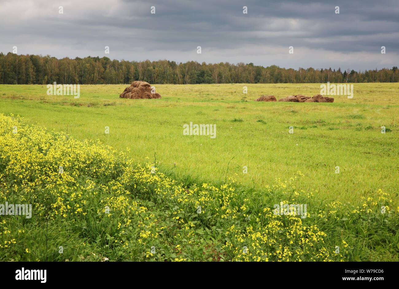 Landscape near Nikola-Lenivets village. Kaluga oblast. Russia Stock Photo