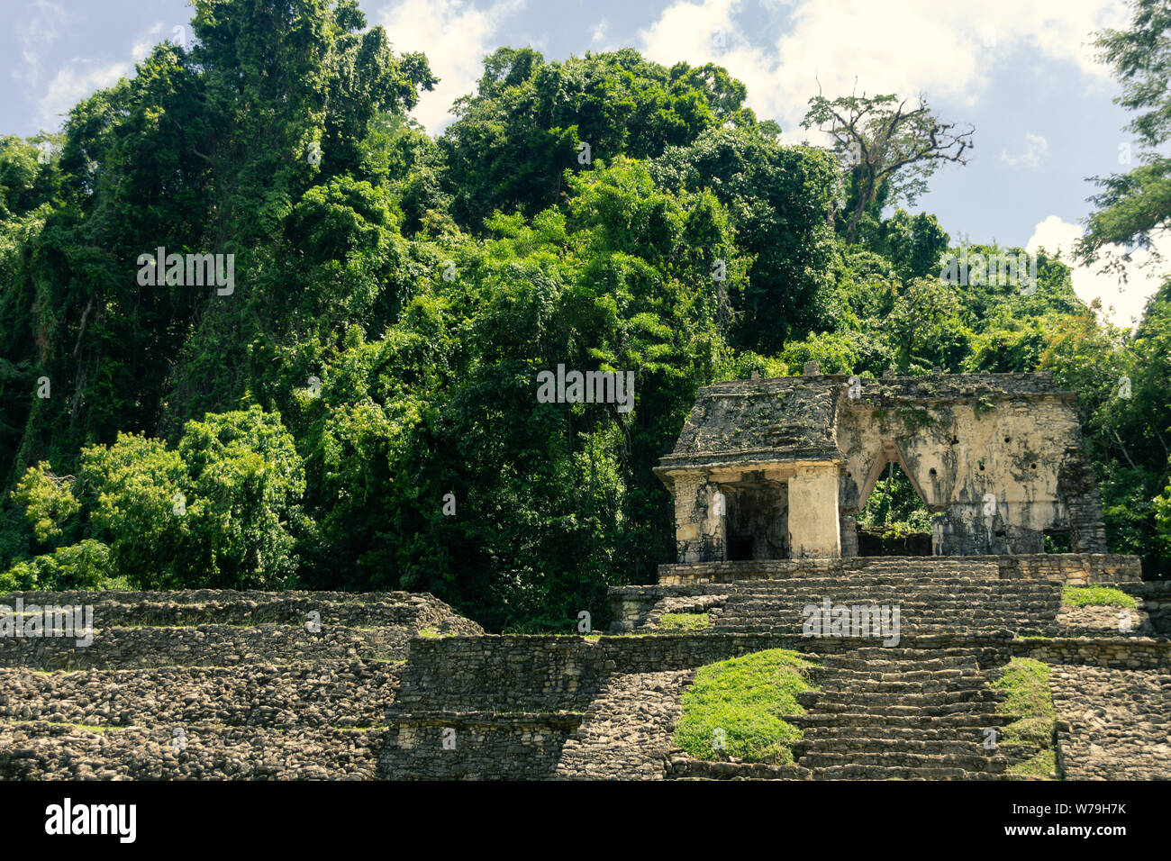 Palenque, Chiapas / Mexico - 21/07/2019: Detail of the archaeological pre hispanic mayan site of Palenque in Chiapas Mexico Stock Photo