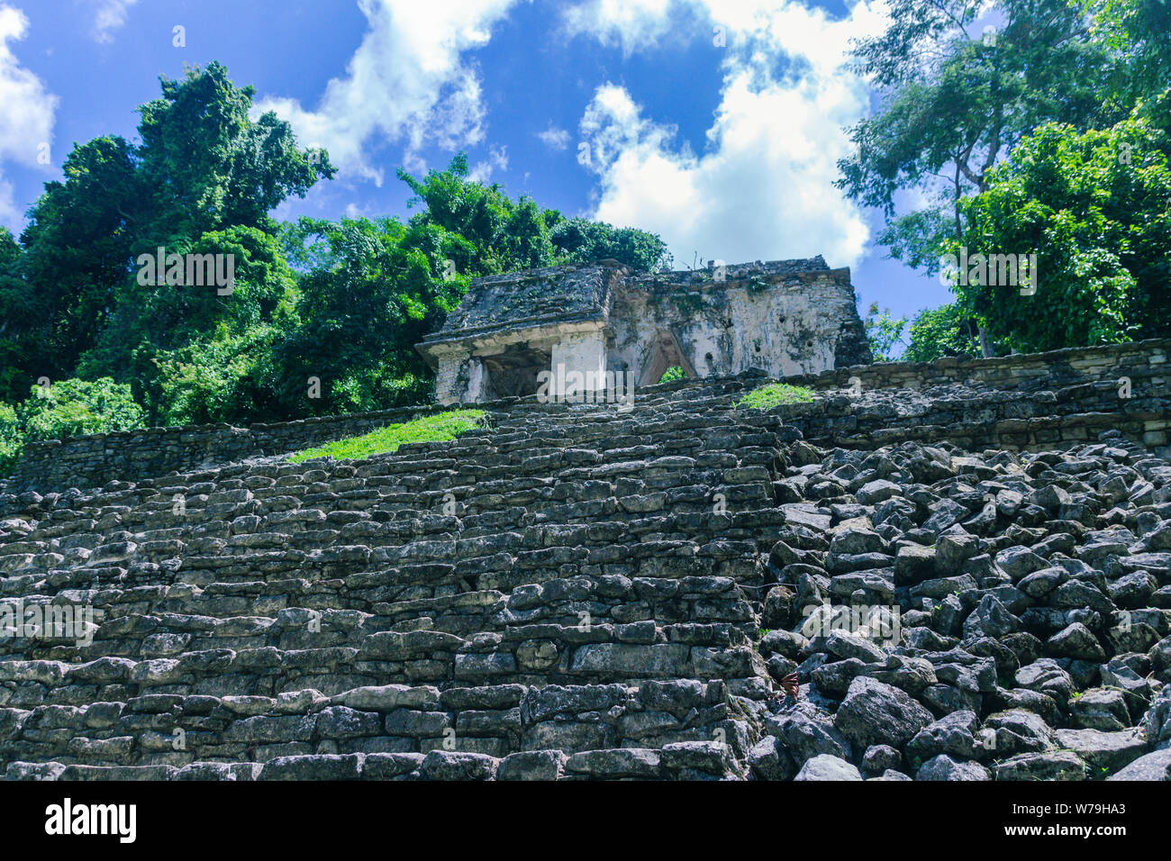 Palenque, Chiapas / Mexico - 21/07/2019: Detail of the archaeological pre hispanic mayan site of Palenque in Chiapas Mexico Stock Photo