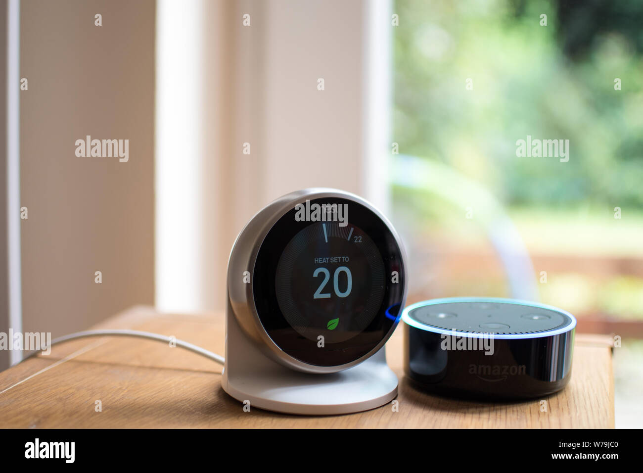 echo dot nest thermostat