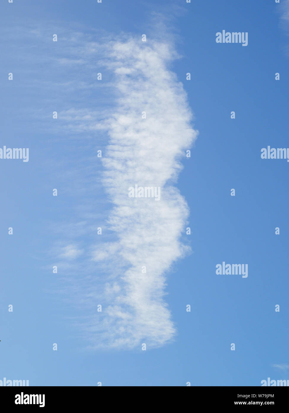 Chemical trail in the sky. Bottom view. Stock Photo