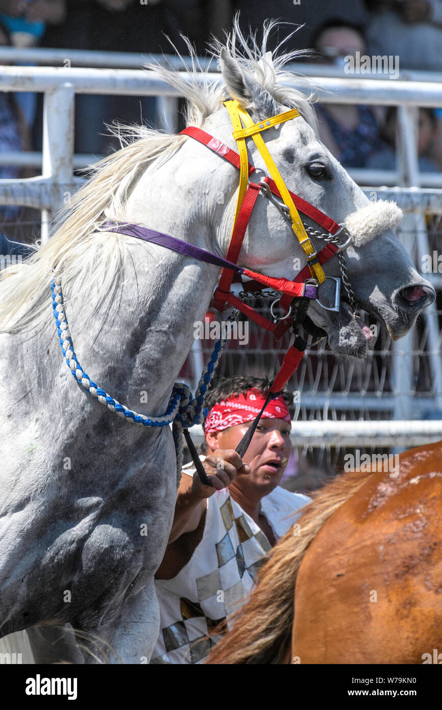 American indian horse relay hi-res stock photography and images - Alamy