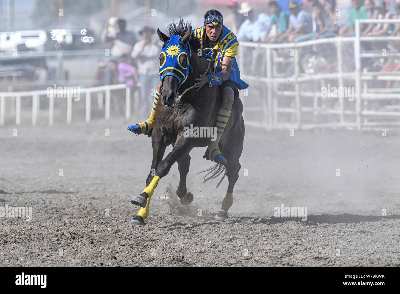 Piikani Nation Indian Relay (horse) Race in Brocket, Alberta Canada
