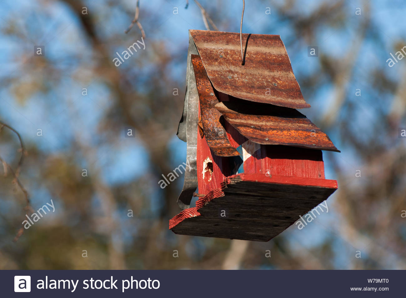 A Rustic Birdhouse Hanging From A Tree In The Dc Suburbs Of