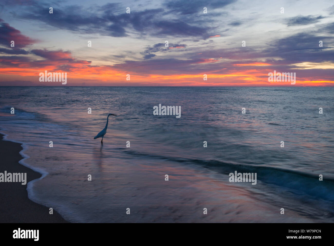 Sunrise On Miami Beach Stock Photo Alamy sunrise-tomorrow-nature-free-photo-on-pixabay-pixabay