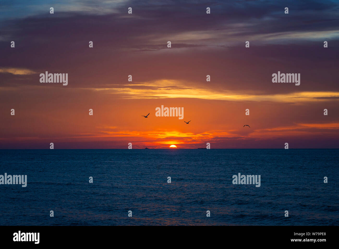 Sunrise On Miami Beach Stock Photo Alamy sunrise-on-miami-beach-stock-photo-alamy