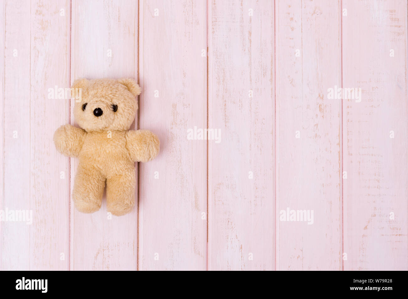 teddy bear top