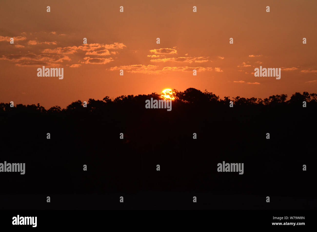 SOUTHERN PEACH SKIES A beautiful sunrise ascends above a forest off the