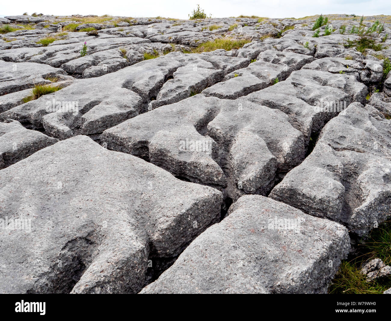 Limestone pavement or clints and grykes formed from solution weathering  of glacially exposed limestone at Great Asby Scar in Cumbria UK Stock Photo