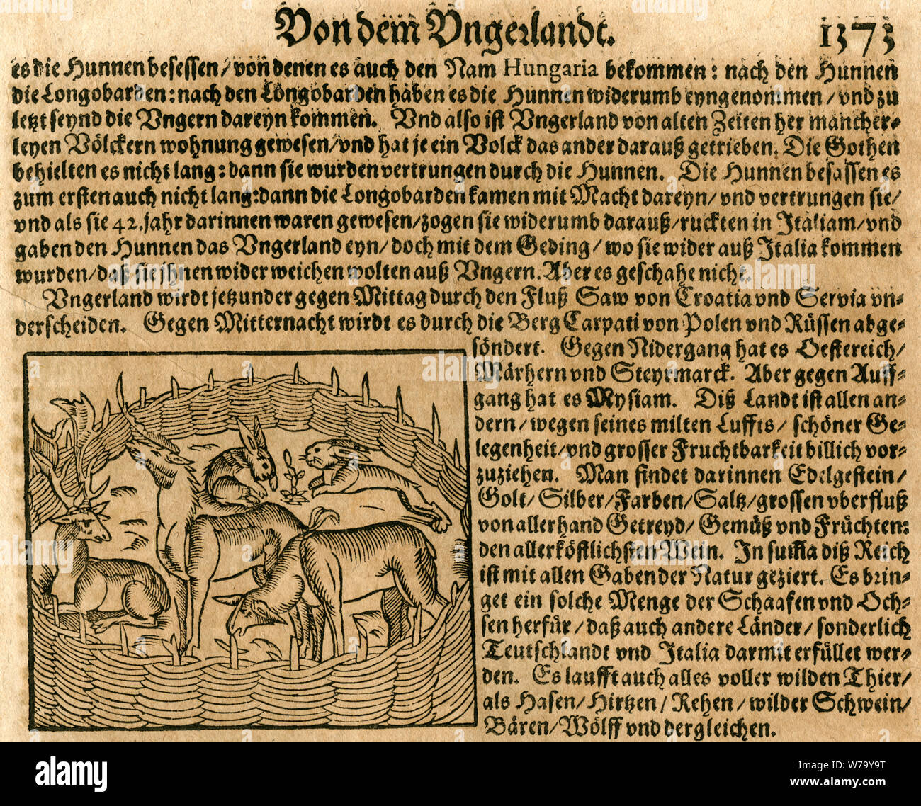 Europa, Ungarn, ungarische Geschichte, Pferch für Tiere, hier Hasen, Hirsche und ein Schaf , Motiv aus der Cosmographia von Sebastian Münster, mit Text, um 1620 . /  Europe, Hungary, Hungarian History, corral with animals, in this case rabbits, deers and a sheep, image from the Cosmographia by Sebastian Münster, together with the text, around 1620 . Stock Photo