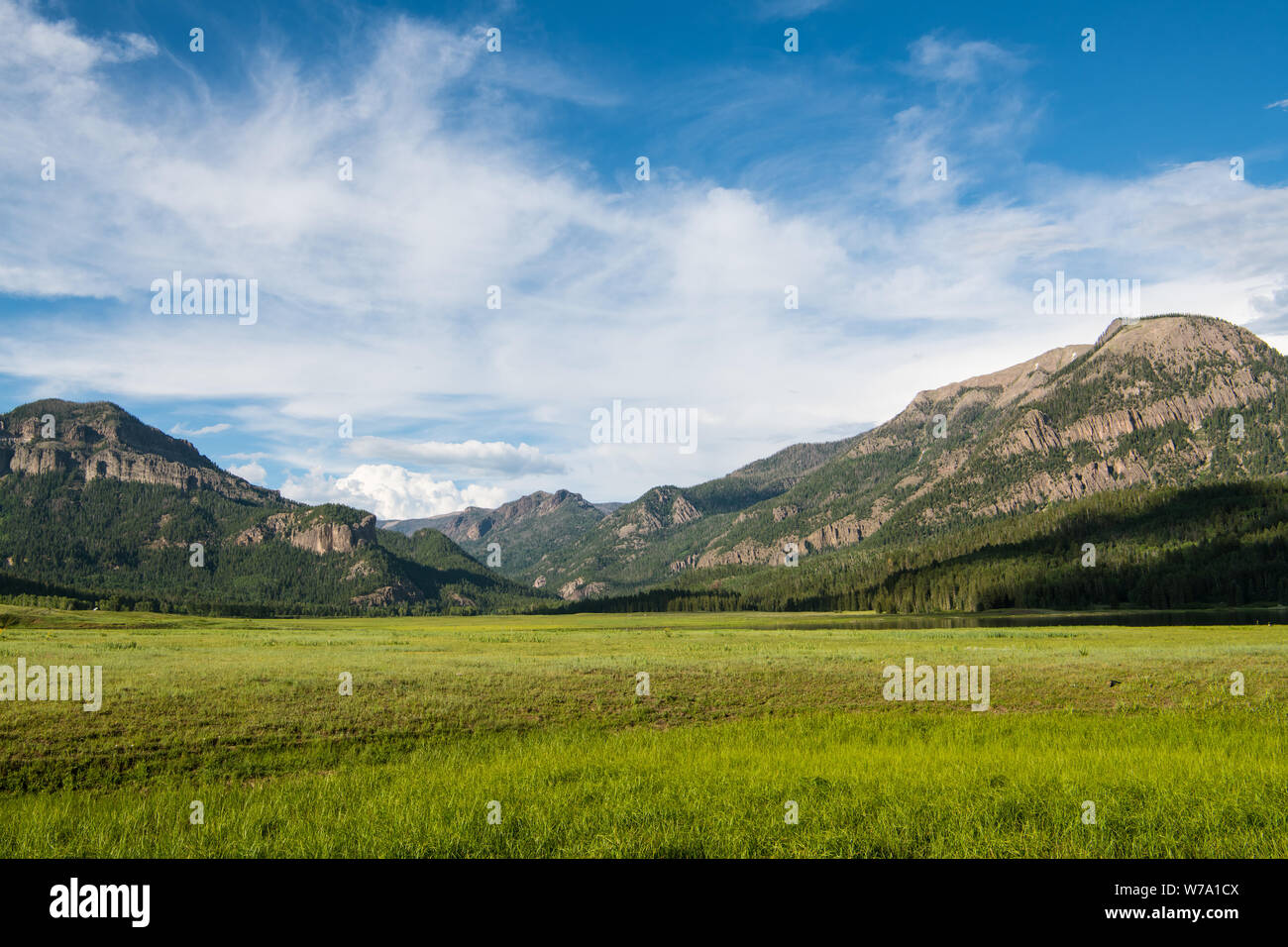Grassy meadow surrounded by high mountain peaks under a beautiful blue sky with white clouds - Rocky Mountains near Pagosa Springs, Colorado Stock Photo