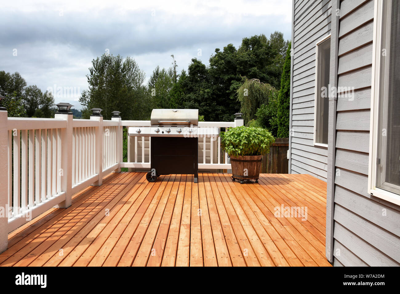 Barbecue grill cooker with large wooden barrel of fresh basil on open