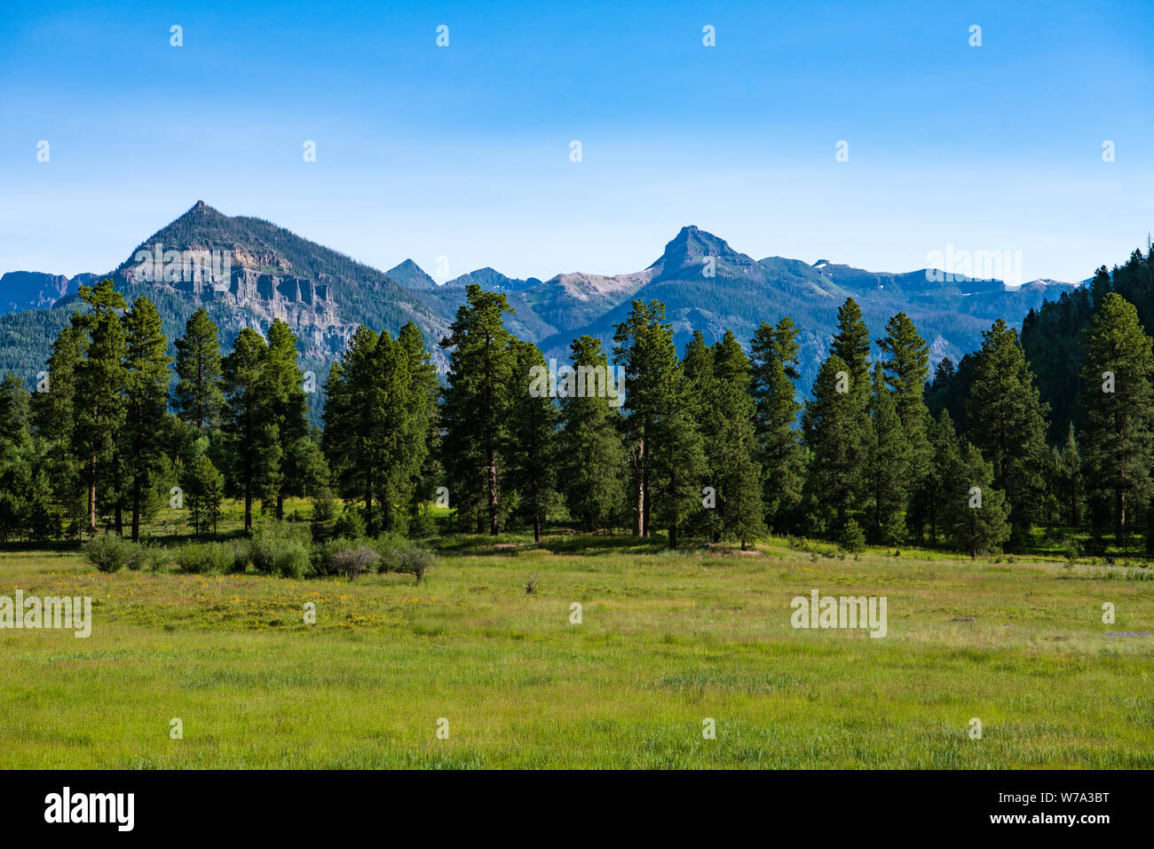 Ponderosa ranch hires stock photography and images Alamy