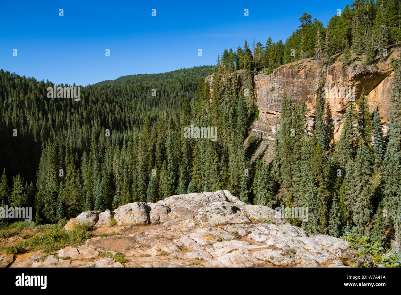 Red rock sandstone canyon wall and rock outcropping above the Piedra River near Pagosa Springs, Colorado Stock Photo