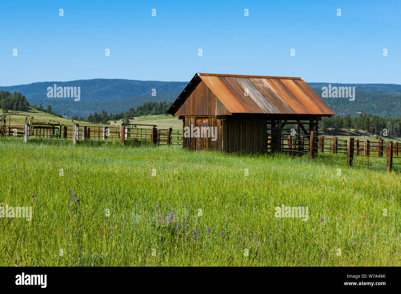 An old weathered barn with a rusty corrugated metal roof in a grassy field on a ranch in Pagosa Springs, Colorado Stock Photo