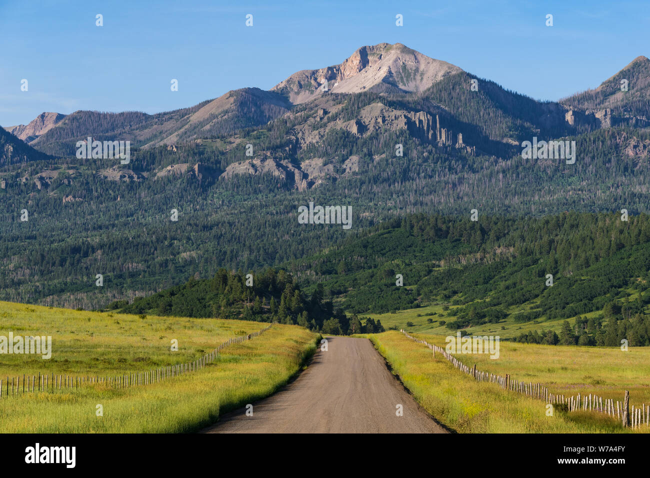 Rural scene of a road and fences through grassy meadows and fields