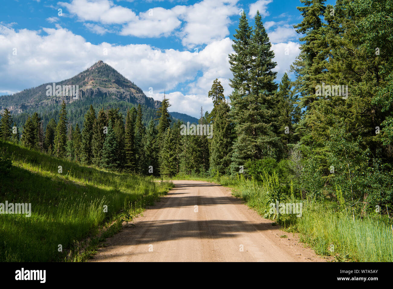 A dirt road curves through a meadow and a forest of fir and spruce towards a high, pyramidal peak in the Rocky Mountains near Pagosa Springs, Colorado Stock Photo