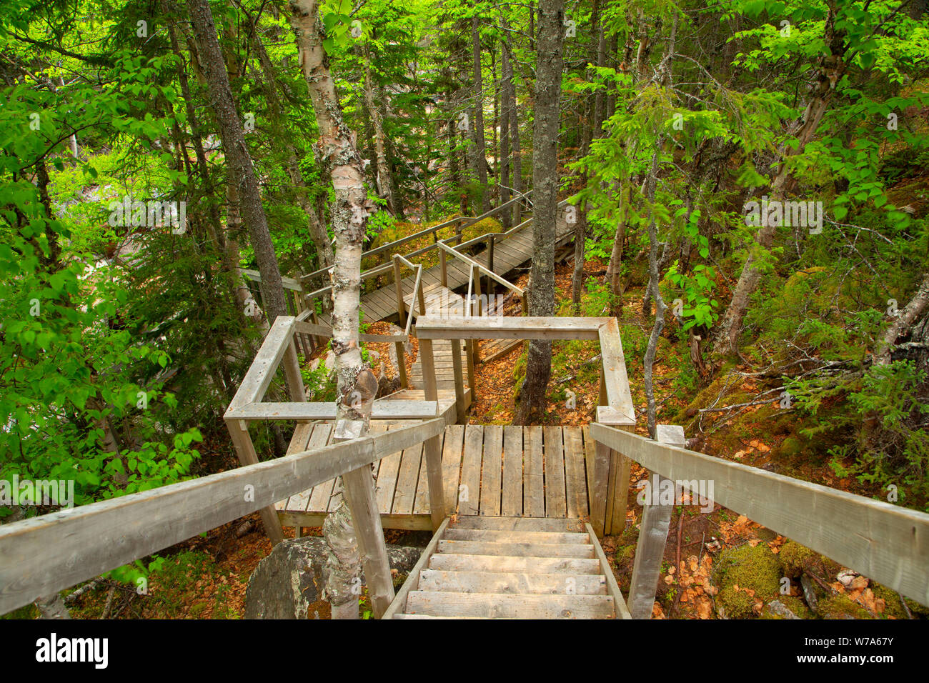 Rattling Brook Falls Trail stairs, Rattling Brook Park, Kings Point