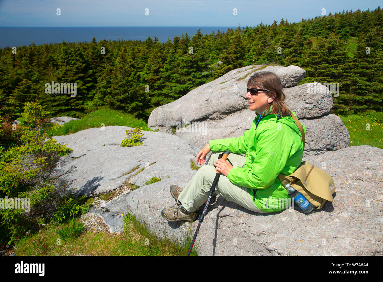 Viewpoint along Cow Head Lighthouse Trail, Cow Head, Newfoundland and
