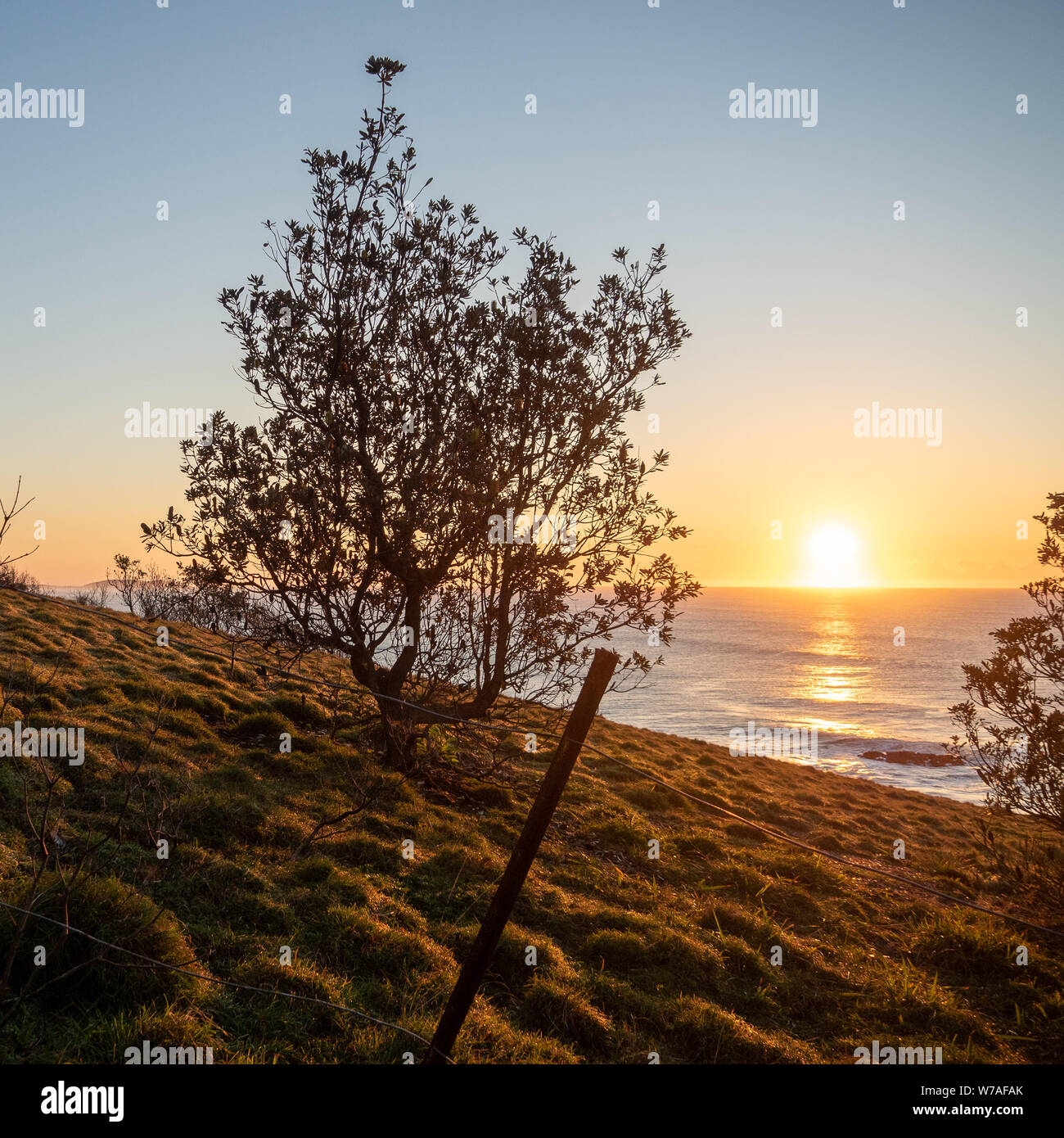 Good morning sunshine. Sunrise over Pacific Ocean, looking across ...