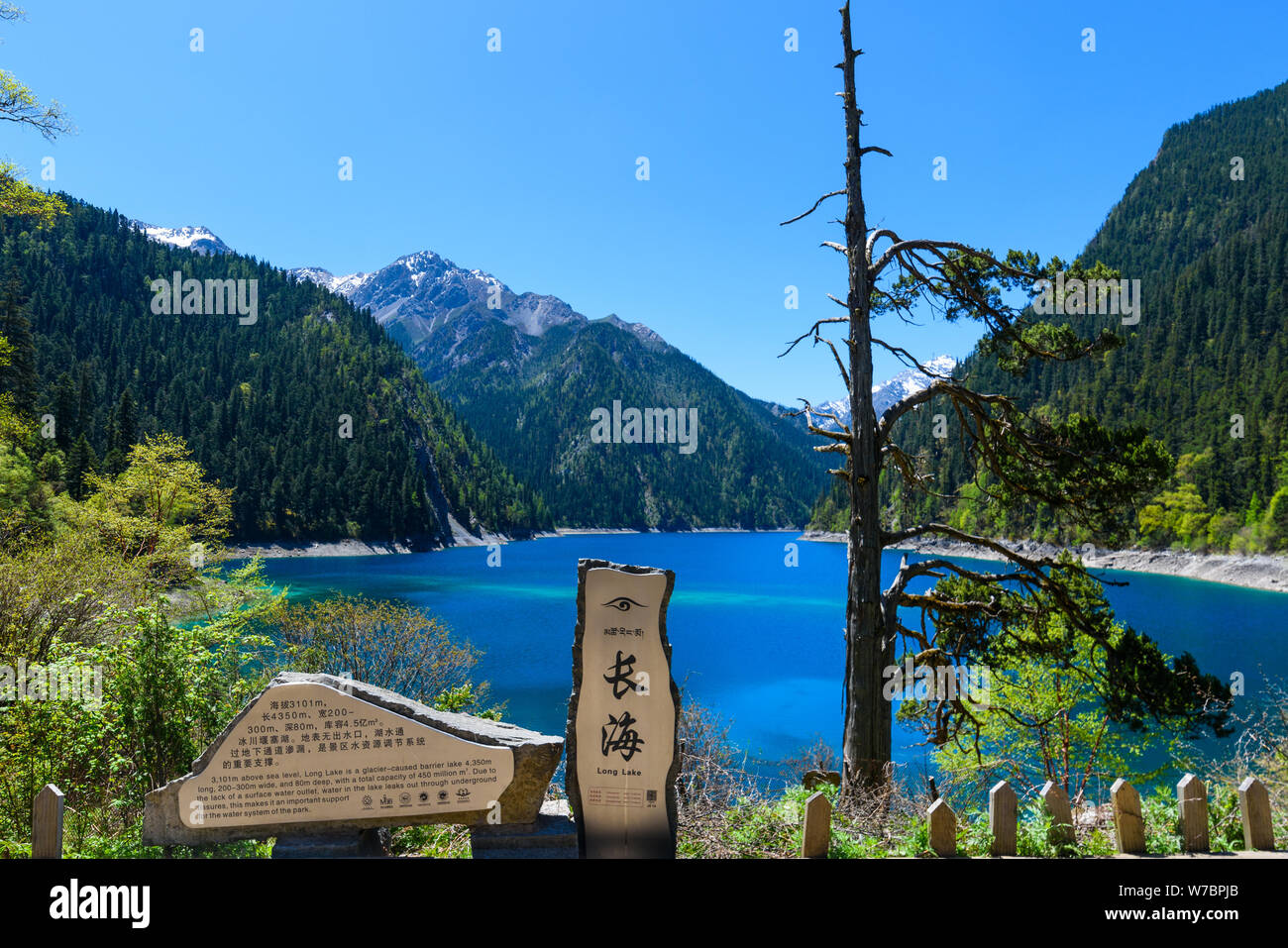 Landscape of Changhai (Long Sea) in Jiuzhaigou County, Ngawa Tibetan and Qiang Autonomous Prefecture, southwest China's Sichuan province, 12 October 2 Stock Photo