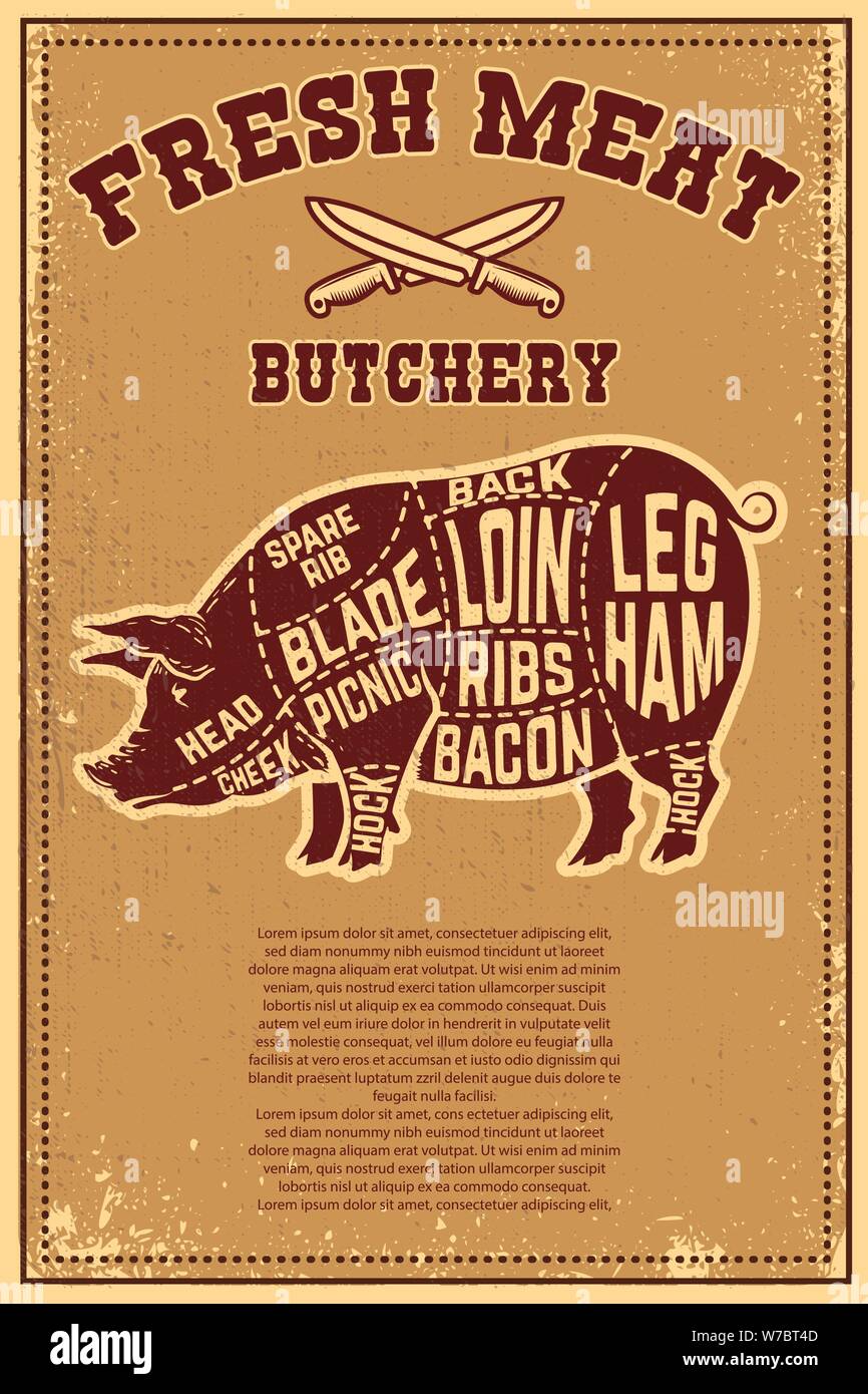 Fresh meat. Poster template with meat cut on grunge background. Vector illustration Stock Vector