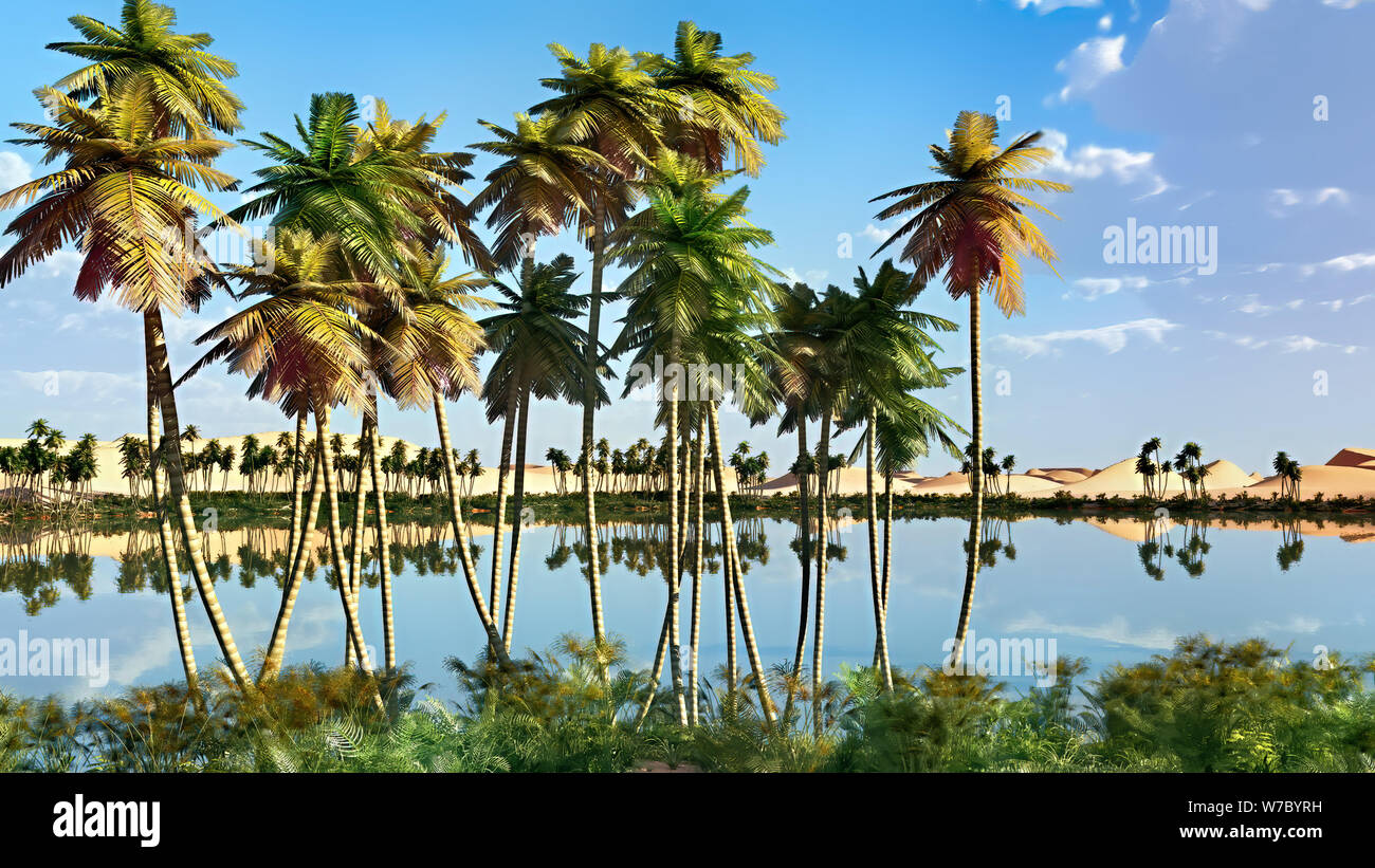Palm trees near oasis in Africa 3d rendering Stock Photo Alamy