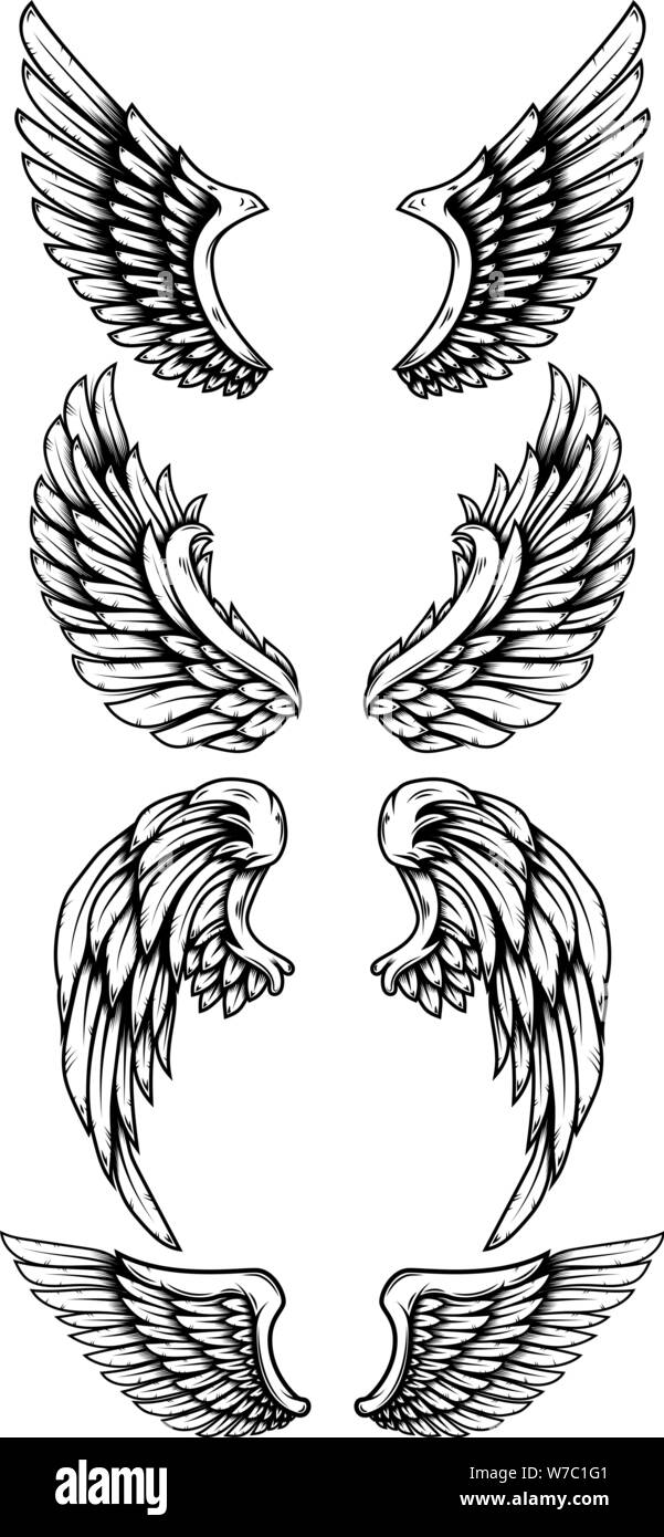 Eagle Wings Handdrawn Vector illustration isolated on white background  Design element for tattoo logo emblem tshirt poster banner sign  insignia 5376063 Vector Art at Vecteezy