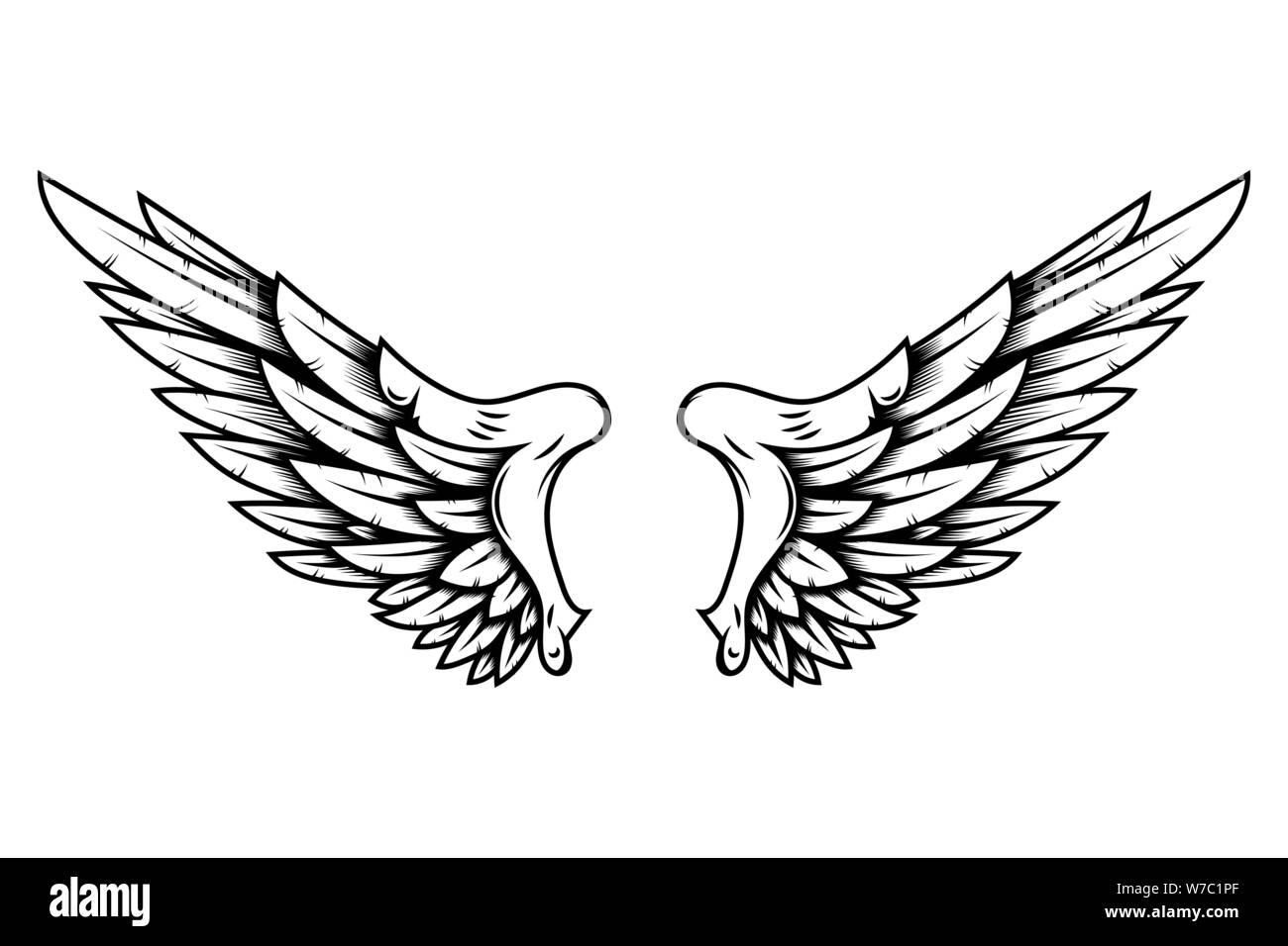 Hand Drawn Eagle Wings Illustration Isolated on White Background. Design  Element for Poster, Card, Banner, Sign, Emblem, T Shirt Stock Vector -  Illustration of decoration, holy: 127123142