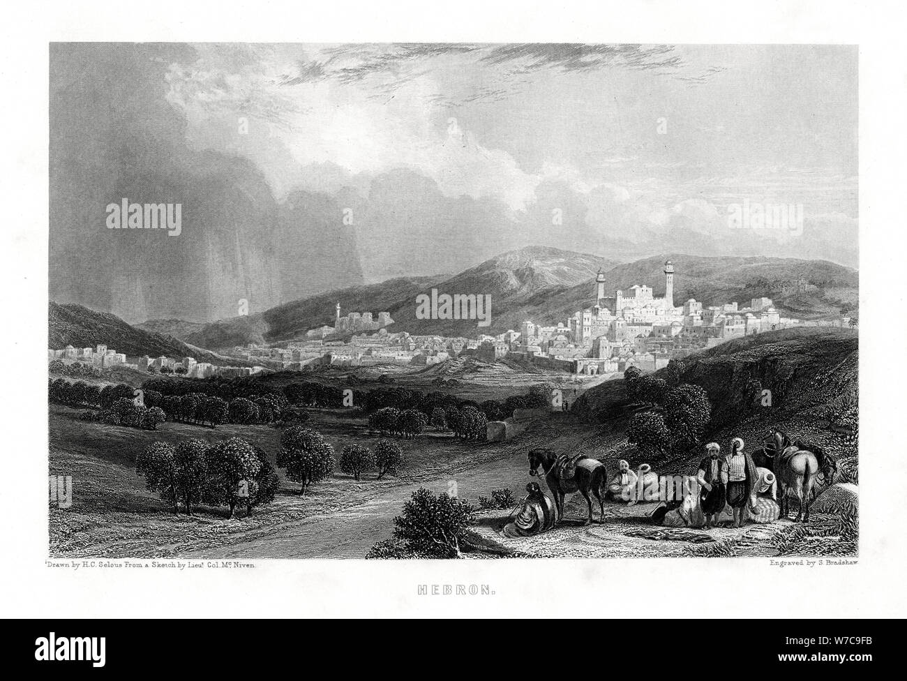 Harry Bradshaw Vampire Academy