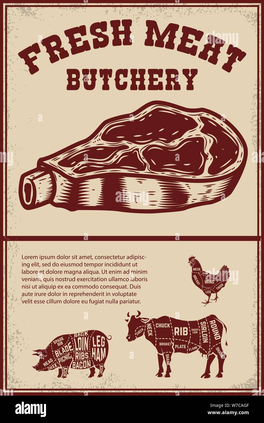 Fresh meat. Poster template with meat cut on grunge background. Vector illustration Stock Vector