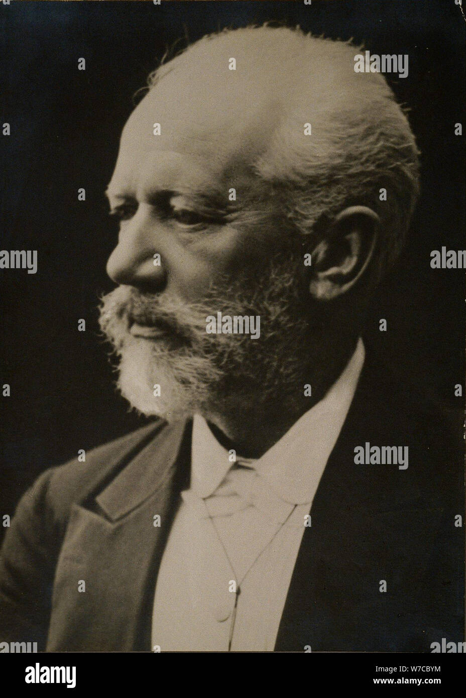 Portrait of the composer Pyotr Ilyich Tchaikovsky. Stock Photo