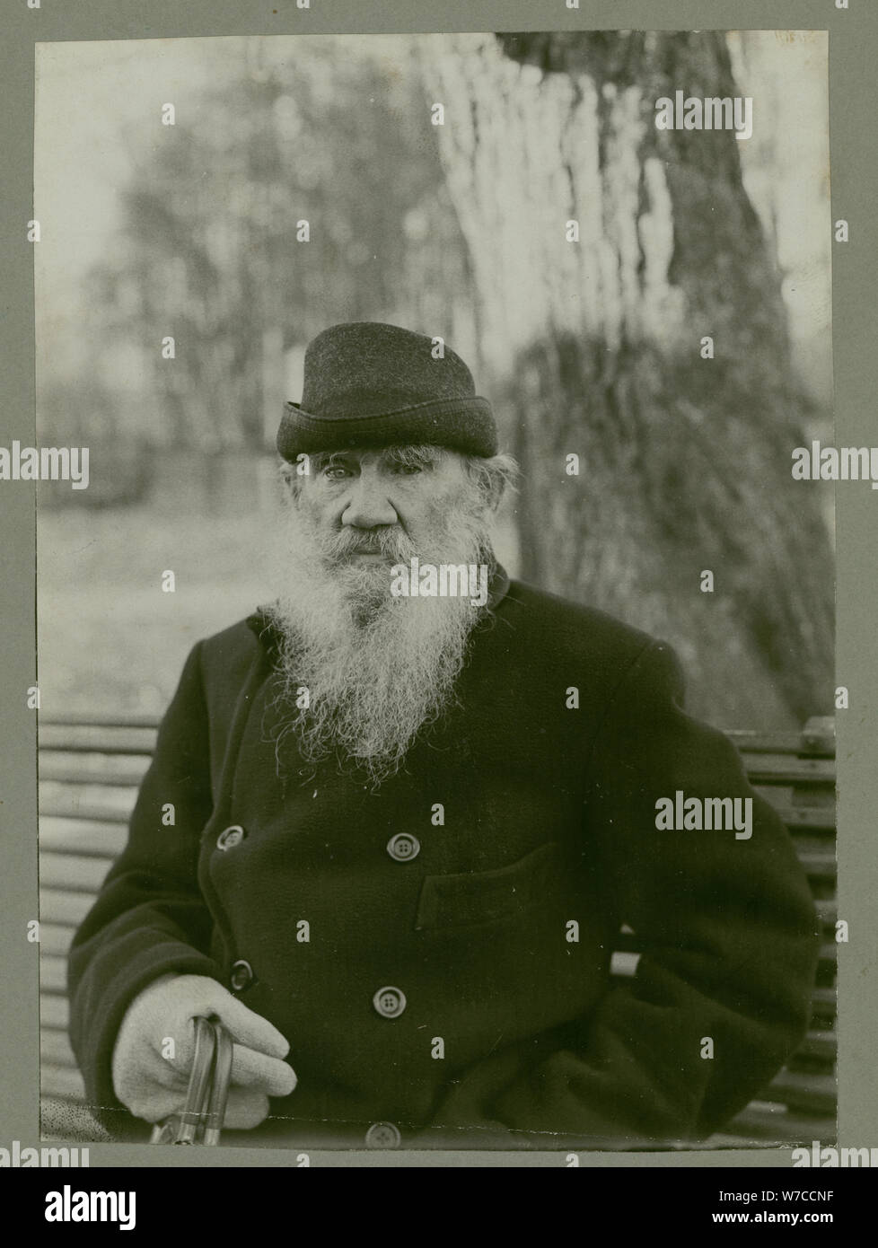Portrait of the author Count Lev Nikolayevich Tolstoy (1828-1910). Stock Photo