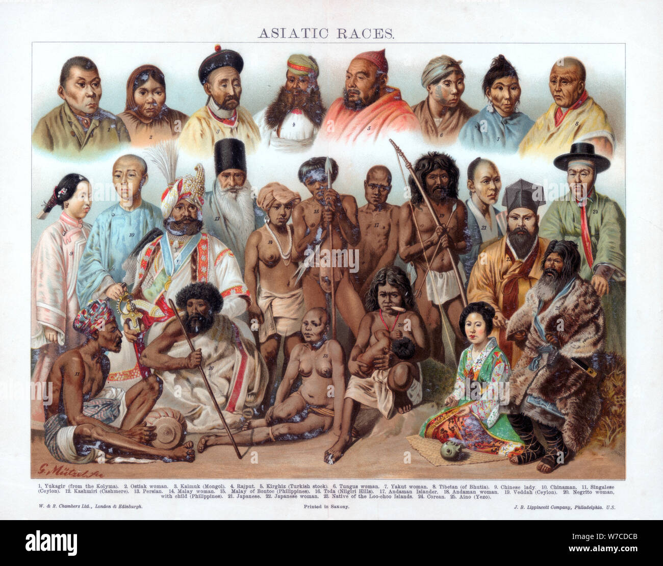 'Asiatic Races', 1800-1900.Artist: G Mutzel Stock Photo