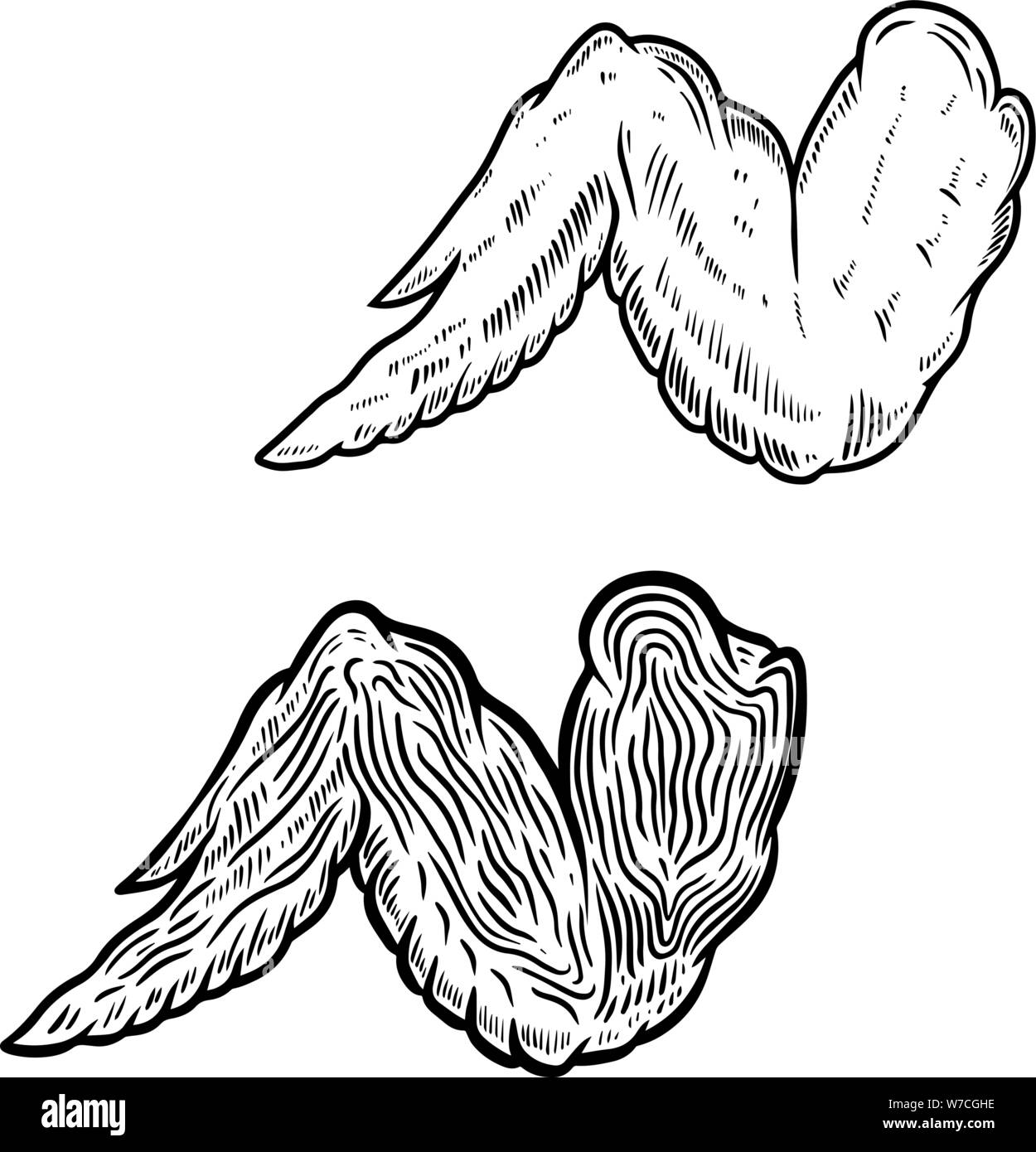 Hand Drawn Sketch Buffalo Chicken Wings Stock Vector (Royalty Free)  1012011985 | Shutterstock