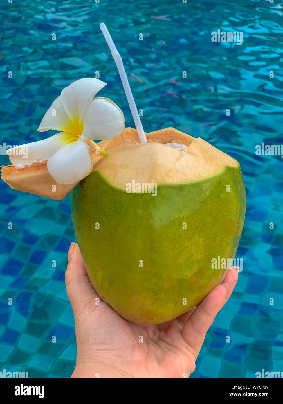 vertical, photo, tropical, pool, coconut, summer, water, green, straw, vacation, relaxation, juice, fresh, beautiful, nature, drink, female, backgroun Stock Photo