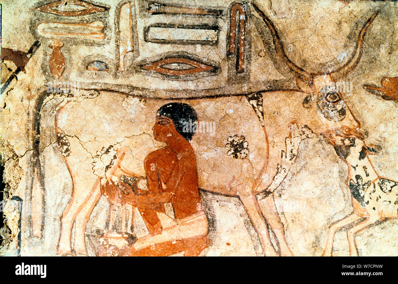 Wall painting from the tomb of Methethi, Saqqara, Ancient Egypt, Old Kingdom, c2371-2350 BC. Artist: Unknown Stock Photo