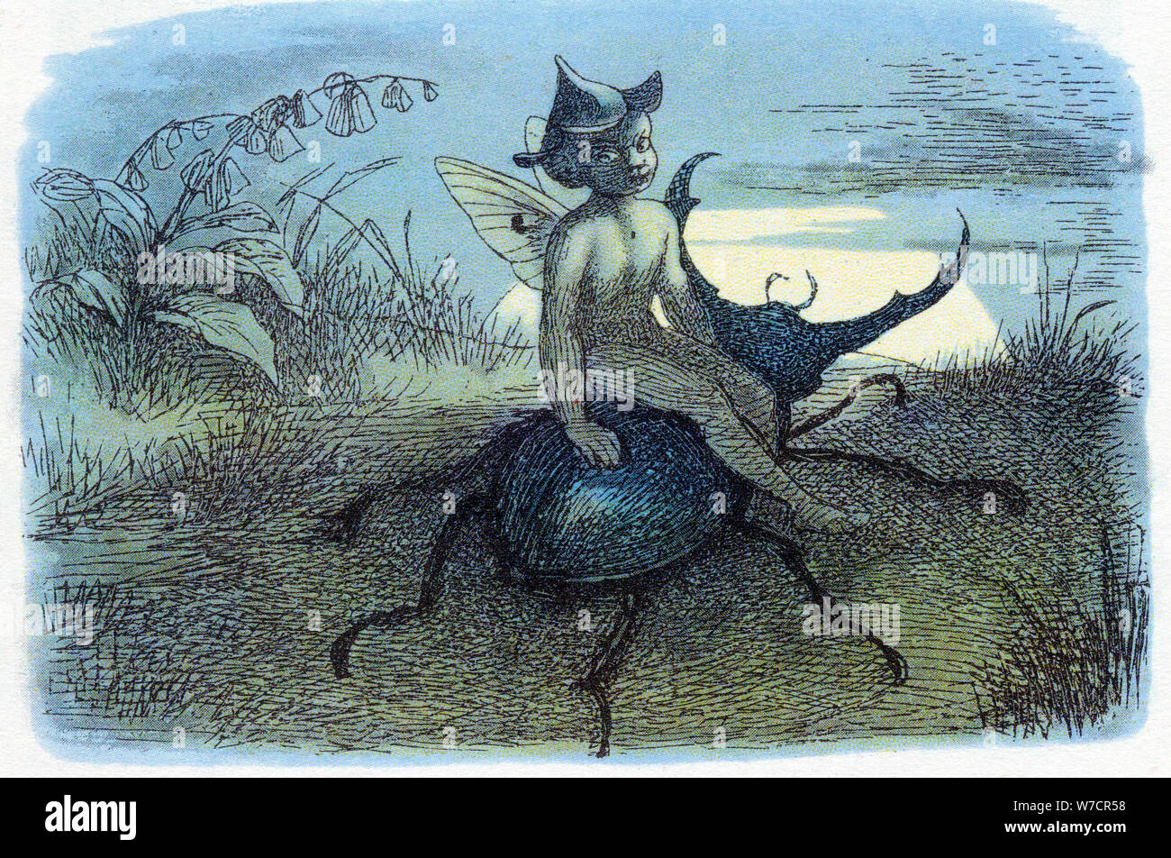 The Fairy Queen's Messenger, c1870. Artist: Richard Doyle Stock Photo