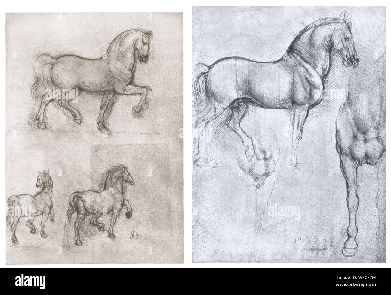 'Horses', c14901510. Artist Leonardo da Vinci Stock Photo Alamy