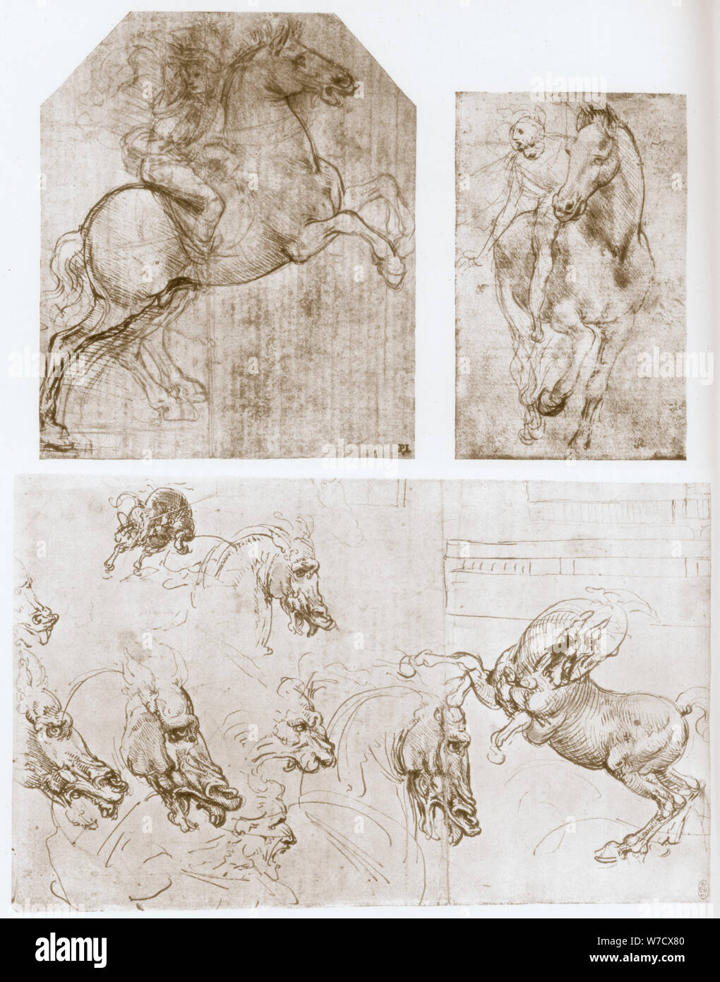 'Horseman', 1480-1481.  Artist: Leonardo da Vinci Stock Photo